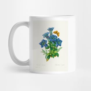 Gentiana - Botanical Illustration Mug